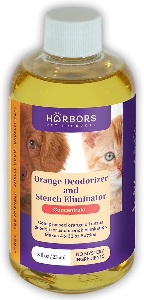 Amazon Com Harbor S Orange Deodorizer And Pet Stench Eliminator Removes Dog Cat Urine Instantly Cleans Rugs Furniture Mattresses With Pleasant Natural Aroma Bottle Of Concentrate Makes 1 Gal Of Spray