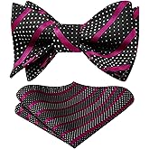 HISDERN Bow Ties for Men Striped Bowties Men's Self Tie Bowtie Handkerchief Formal Tuxedo Wedding Bowties and Pocket Square
