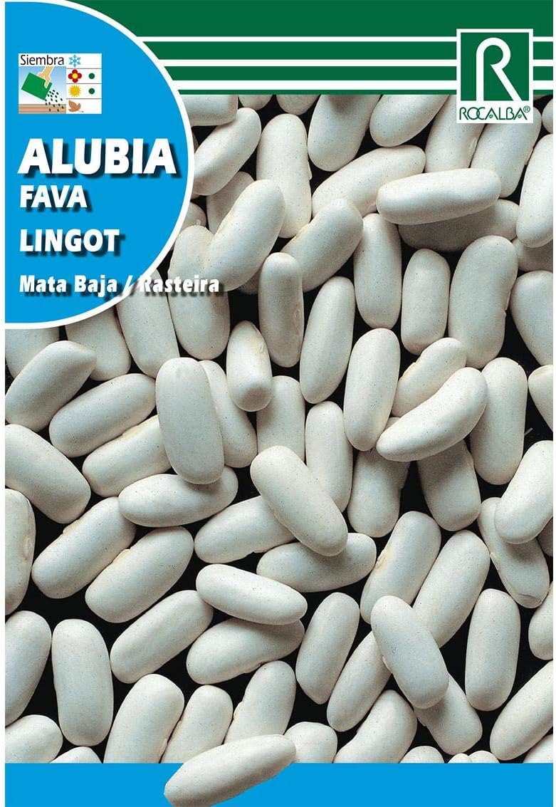 Semillas de Alubia lingot: Amazon.es: Jardín