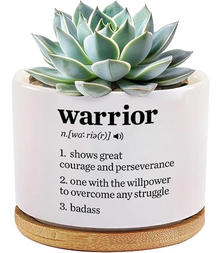 Amazon.com : Warrior Definition Inspirational Gifts Ceramic Succulent Plant  Pot with Bamboo Tray Round Motivational Encouragement Gifts Cancer Survivor  Sobriety Home Decor Plant Lover 3.5 Inch White (No Plants) : Patio, Lawn