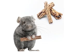 SubstrateSource Natural Cholla Wood - Driftwood for Aquariums, Air Plant Base, Hermit Crab and Freshwater Shrimp Hideout, Fish Tank Decoration, Chinchilla Chews, Reptile Habitat Wood - 4 Inch, 3pc