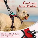 rabbitgoo Small Dog Harness No Pull Reflective Front Back Leash Clips Red XS view 7