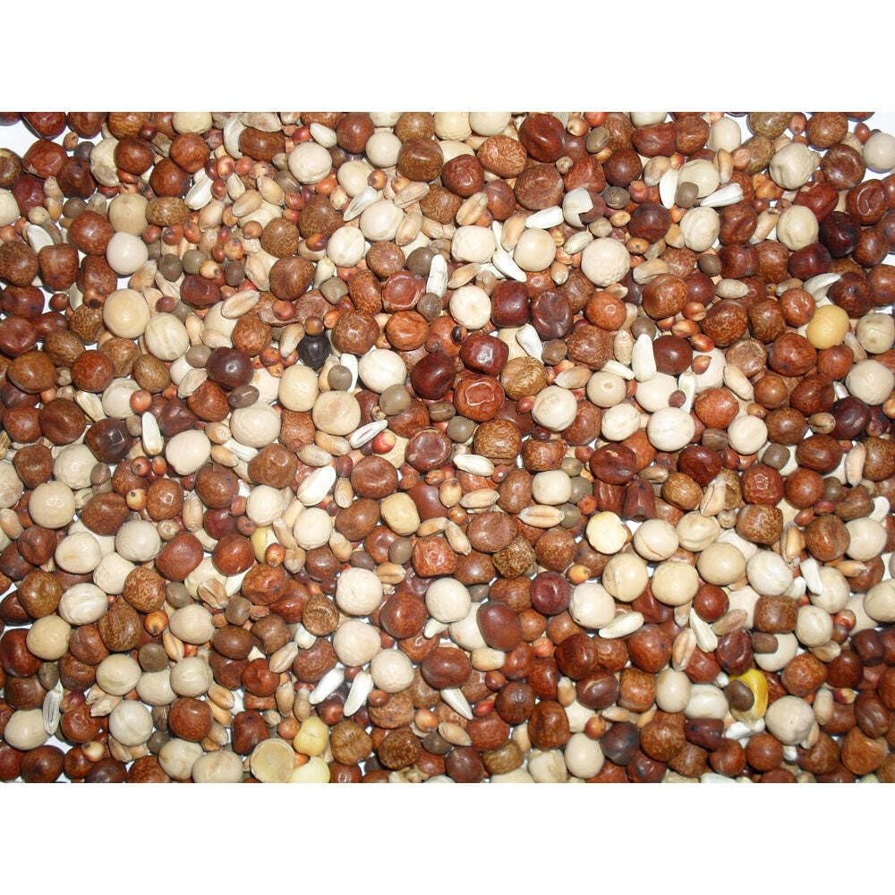 Johnston & Jeff Young Adult Bird High Protein No Maize Pigeon Corn, 20 kg