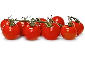 CHICHL SUNSET Campari Tomatoes, 32 OZ