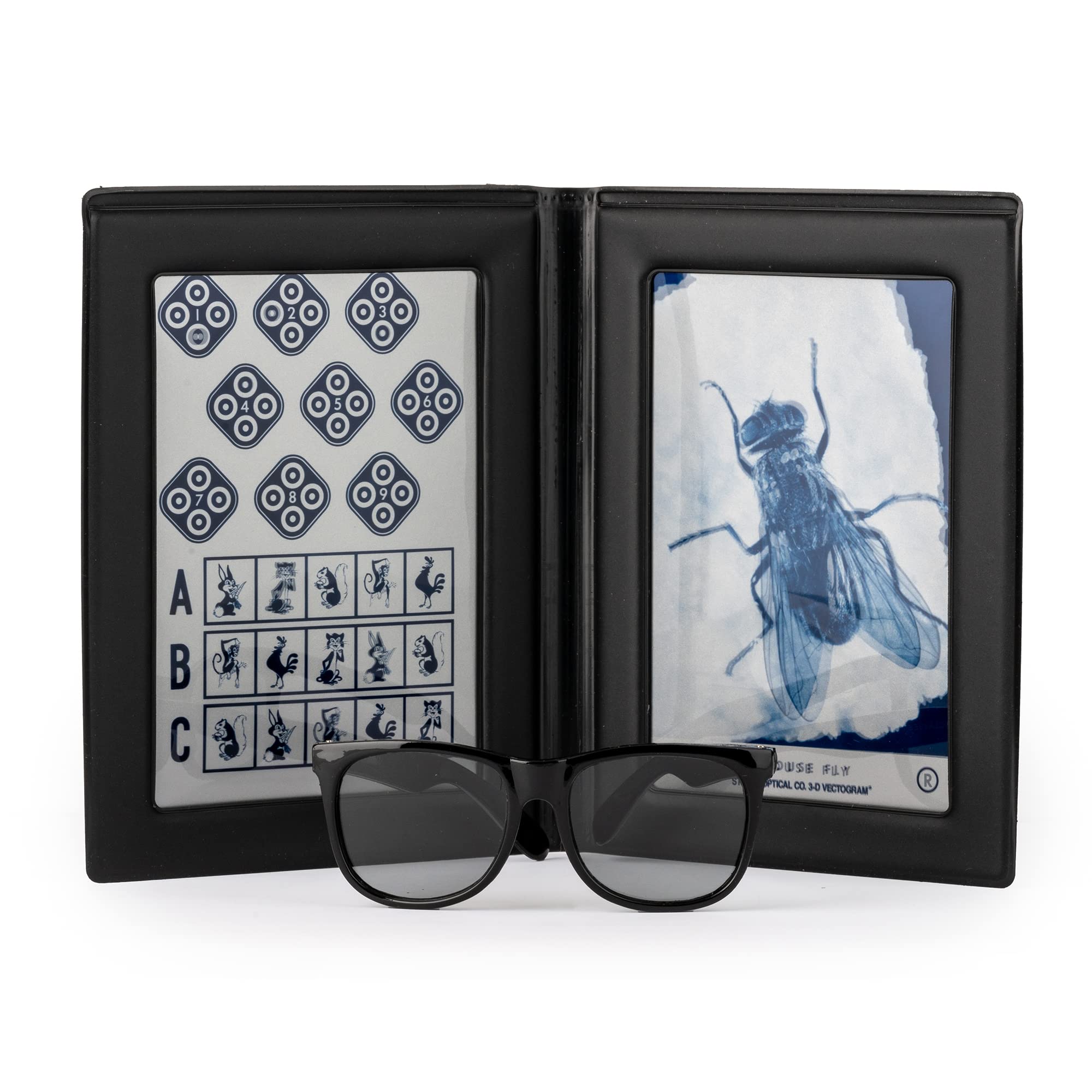 Precision Vision Stereo Fly Test - SO001