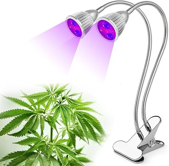 Glighone Luz de Plantas Luz Cultivo Led para Sostener en Mesa Luz