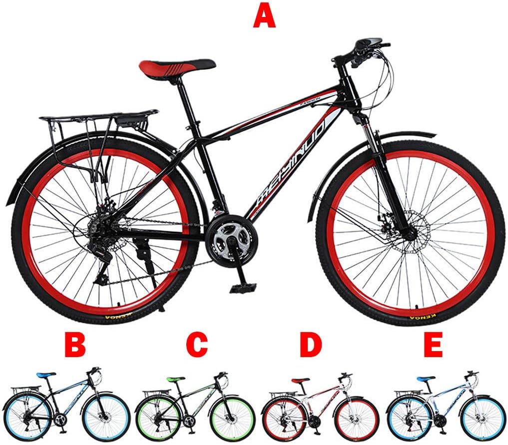 dual front disc brakes bicycle