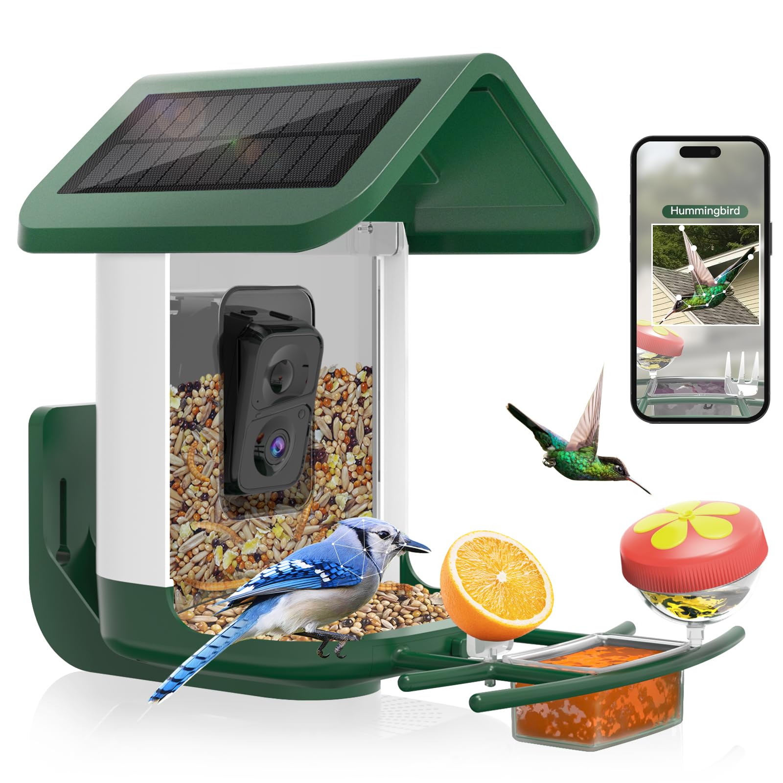 Bird Feeder with Camera Solar Powered : Smart Camera Bird Feeder 2K Live Feed Cam for Outdoor Backyard - Ai Identify Auto Capture Videos Pictures, Gifts for Birdlover Mom Dad, 2.4GHz WiFi Image