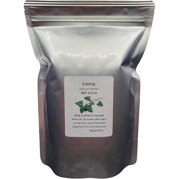 Amazon.com : Wormwood - Artemisia absinthium Loose Leaf by Nature