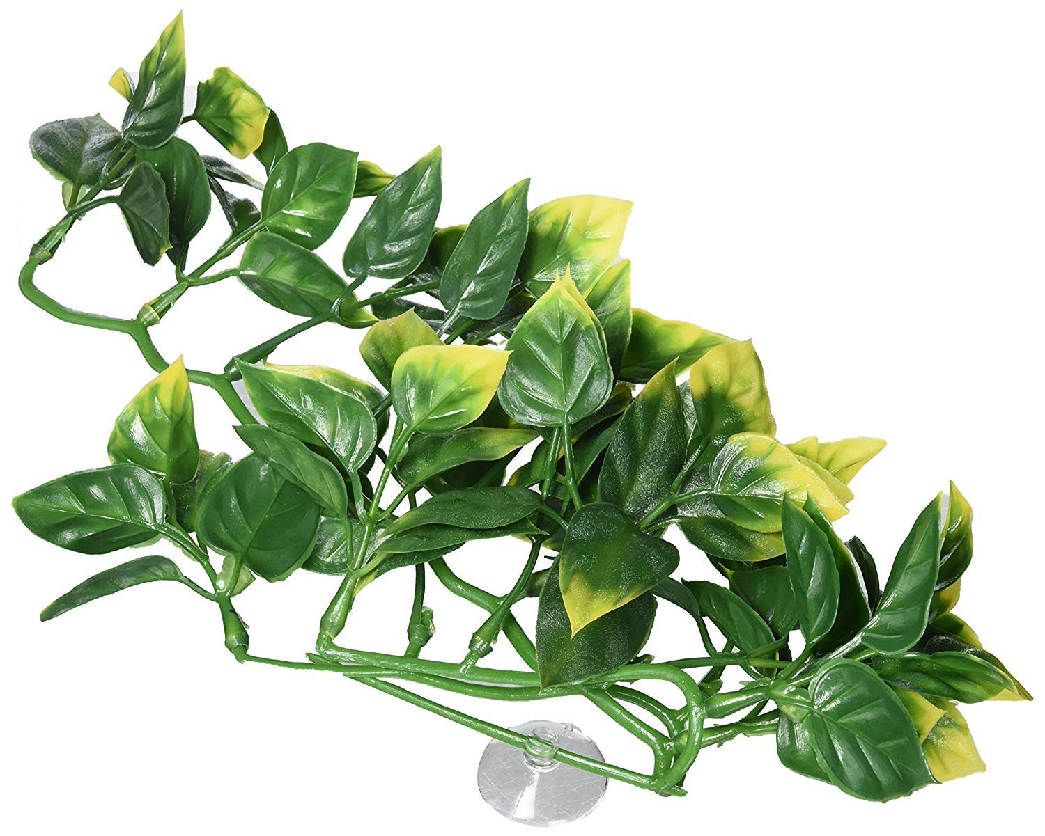 Exo Terra Plastic Amapallo Plant, Small
