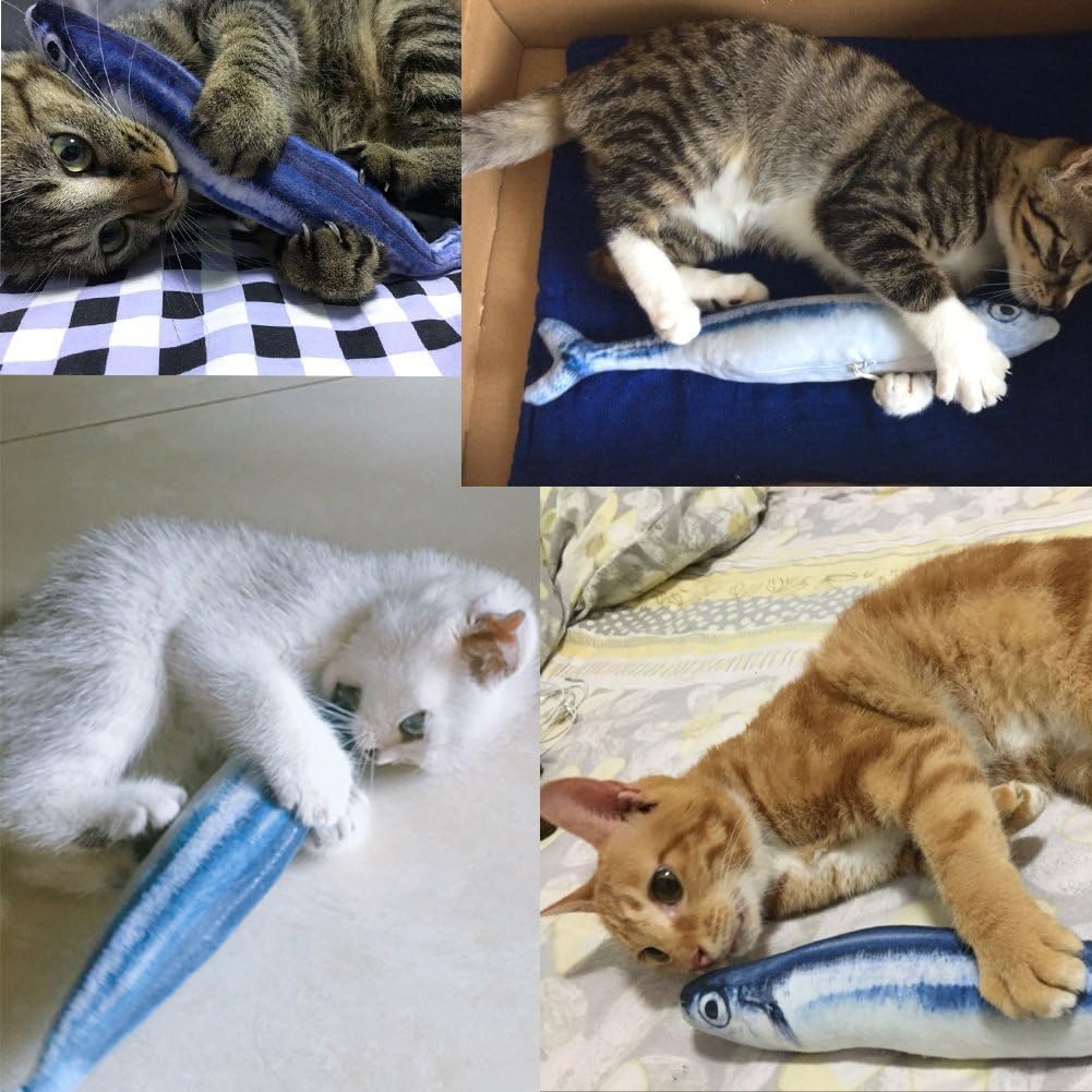 KTCLCATF Coolfm Coolfm Catnip Toys Set Simulation Fish Shape Doll Interactive Pets Pillow Chew Bite Supplies for Cat/Kitty/Kitten Fish Flop Cat Toy Catnip Crinkle Toys 3PCS (QDY-3PCS) : Pet Supplies