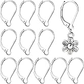 Alpinleux 12 Pcs Leverback Earring Hooks, Stainless Steel Clasp Hoop, Hypoallergenic Dangles Earring Hooks, French Ear Wire Findings for Women, DIY Crafts, Jewelry Making (Silver)