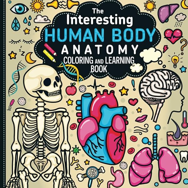 Big and Bold Anatomy Coloring and Learning Book: Fun & Educational