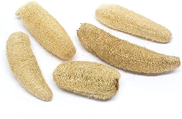 Style Homies Ridge Ground Fiber Natural Loofah Sponge Scrubbing for Body Wash (Pack of 5)
