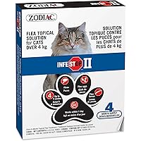 Zodiac® Infestop™ II Flea Topical Solution for Cats Over 4kg - 4 Tubes