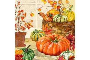 BOSTON INTERNATIONAL IHR Ideal Home Range Cocktail Napkins Disposable 3-Ply Paper Party Napkin Pack, 5" x 5", Heirloom Pumpkins, 20-Count