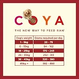 COYA Freeze-Dried Raw Dog Food Beef 150g Hypoallergenic Grain-Free view 4