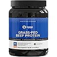 Designs for Sport Beef Protein Powder - NSF Certified for Sport Hydrolyzed Protein - Highly Absorbable with Amino Acids, Collagen Precursors - Bone Broth Protein for Athletes (Chocolate, 30 Servings)