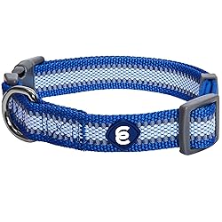 Blueberry Pet Large Dog Collar in Reflective Navy