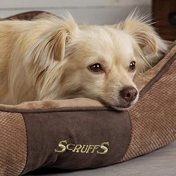 scruffs chester dog bed