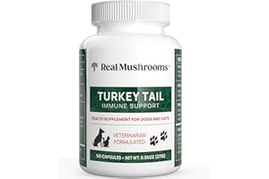 Real Mushrooms Turkey Tail Capsules for Pets –Cat Probiotics & Dog Vitamins – Organic Mushroom Supplement for Dogs & Cats – Supports Daily Balance & Well-Being Non-GMO, 90 ct