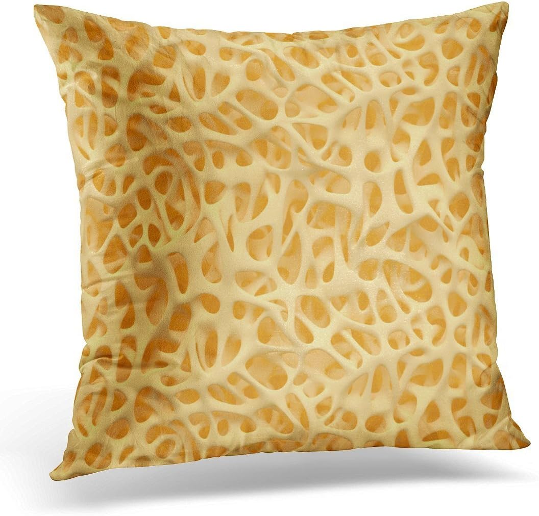 SPXUBZ Osteoporosis Bone Structure Marrow Calcium Decorative Home Decor Square Indoor/Outdoor Pillowcase Size: 16x16 Inch(Two Sides)