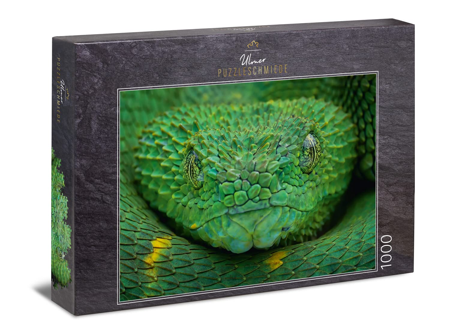 Ulmer Puzzleschmiede - Snake Puzzle "Poison Green" - Classic Puzzle Made in Germany with 1000 Pieces - The Green Snake in Menacing Close Up - Difficult Animal Puzzle for Adults