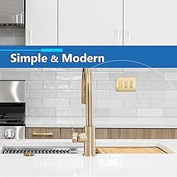 LIDER Brushed Finish Decorator Switch