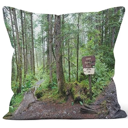 Amazon Com Nine City Path To John Muir S Cabin Home Decorative