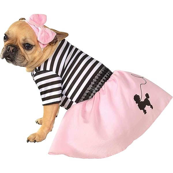 t birds dog costume