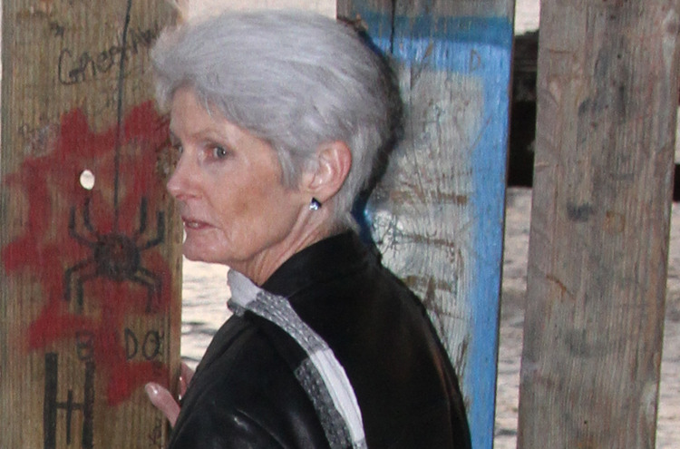 Rogue Wave Dunlap, Susan 9780394585246 Books Amazon.ca