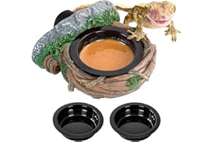 REPTI ZOO Magnetic Crested Gecko Feeding Ledge, Reptile Feeder Ledge with 2PCS Cups, Reptile Water Bowl for Bearded Dragon Lizard Snake, Hollow Vine Food Dish Tank Accessories