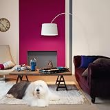 Dulux Matt Emulsion Paint For Walls And Ceilings Nutmeg White 2.5 Litres view 6