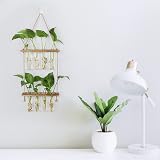 Hyindoor 2 Tier Propagation Station Glass Planter Wall Hanging Test Tubes 8pcs view 6