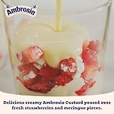 Ambrosia Devon Custard Chocolate Flavour 150 g Pot Ready-to-Eat view 4