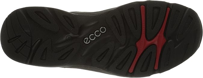 ecco light iv