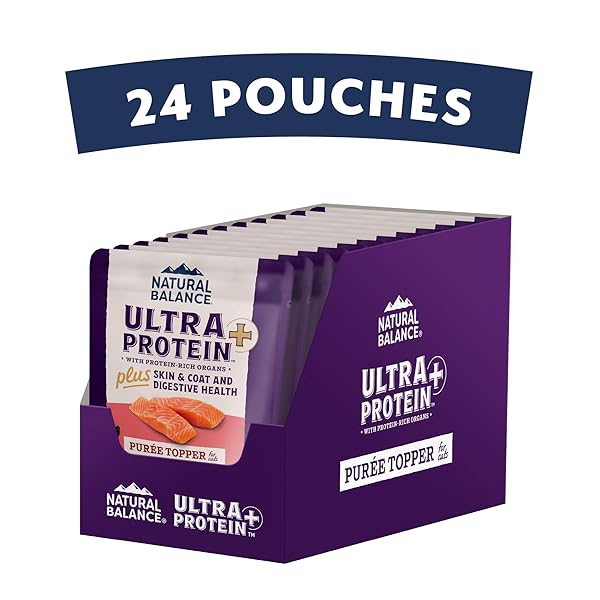 NATURAL BALANCE ULTRA PROTEIN PLUS WET CAT FOOD, SKIN & COAT AND DIGESTIVE HEALTH REAL SALMON WITH PUMPKIN PUREE TOPPER WITH CHICKEN LIVER & CHICKEN HEART, HIGH PROTEIN CAT FOOD – 2.4 OZ. (PACK OF 24)