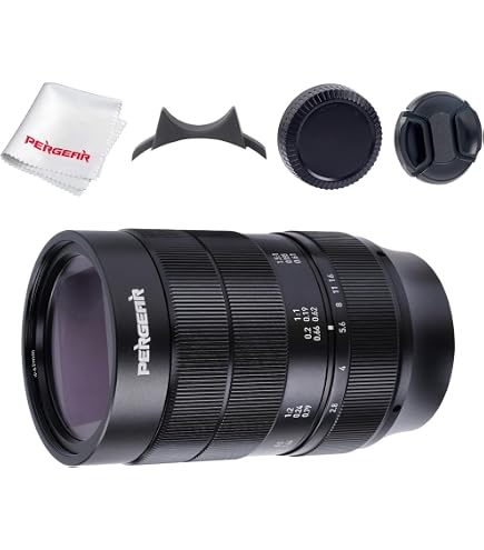 Amazon.com : Sigma 60mm F2.8 EX DN Art (Black) for Micro 4/3