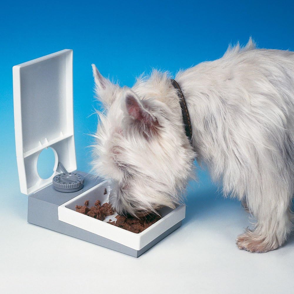 Amazon Com Cat Mate C10 Automatic Pet Feeder For Cats And Small