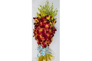 EFLOWERWHOLESALE Orchid - Fresh Cut Flowers - Ten Stems of Dendrobium Sonia Tinted Yellow (Free Vase)