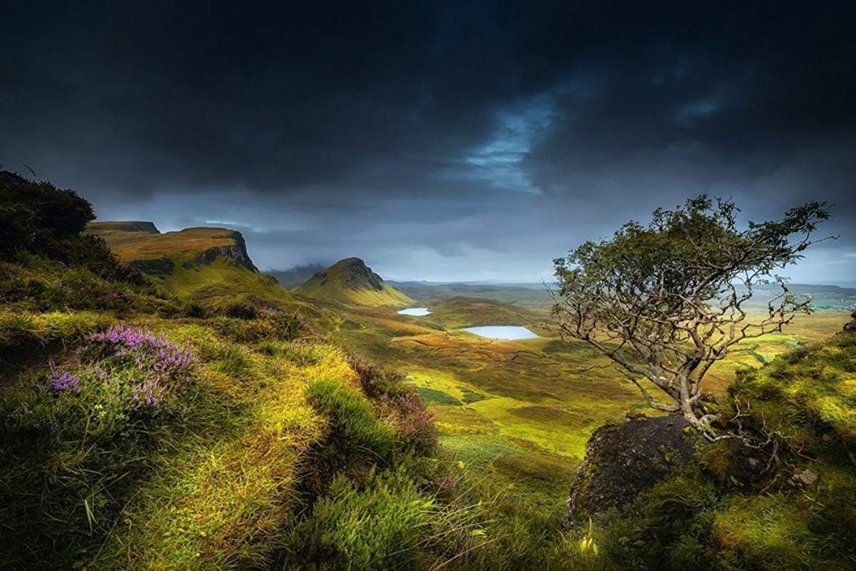 Odeletqweenry Print On Canvas, Scotland Highland Art Print Poster Wall Decor Wall Art Home Decor 36 x 24 Inches Unframed Wall Art Home Decor