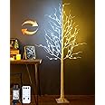 ZHOUDUIDUI Lighted Birch Tree, 6ft 96LED Birch Tree Lights,Artificial Twig Tree Light 9Modes Timer for Indoor Outdoor Christmas Halloween Easter Tree Home Party Wedding Decor,Warm & Cool White