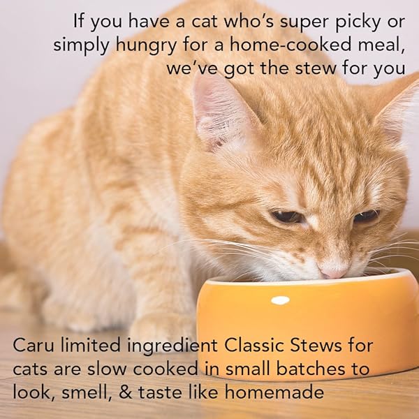 CARU – CHICKEN STEW FOR CATS, NATURAL CAT FOOD WITH ADDED VITAMINS, NON-GMO INGREDIENTS, COMPLETE AND BALANCED FOR ALL STAGES OF LIFE (6 OZ)
