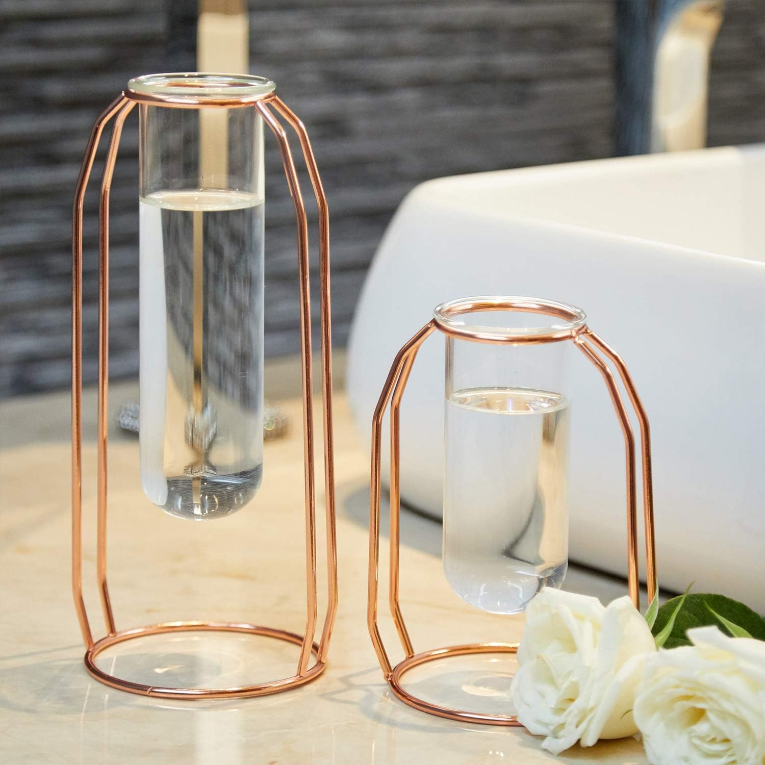 PuTwo Vases Set of 2 Metal Flower Vase Glass Vase Planter Terrariums Gold Vases Rose Gold Vase Plant Vase Glass Vases Cylinder Vase Vases for Decor Clear Vase Decorations for Living Room - Rose Gold : Garden & Outdoor