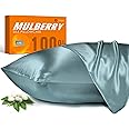 100% Mulberry Silk Pillowcase for Hair and Skin, 22 Momme Pure Natural Silk Pillow Case Both Sided with Zipper, Pillow Cover for Women Mom Men (Airy Blue, Queen 20''×30'')