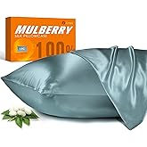100% Mulberry Silk Pillowcase for Hair and Skin, 22 Momme Pure Natural Silk Pillow Case Both Sided with Zipper, Pillow Cover for Women Mom Men (Airy Blue, Queen 20''×30'', 1 Pack)