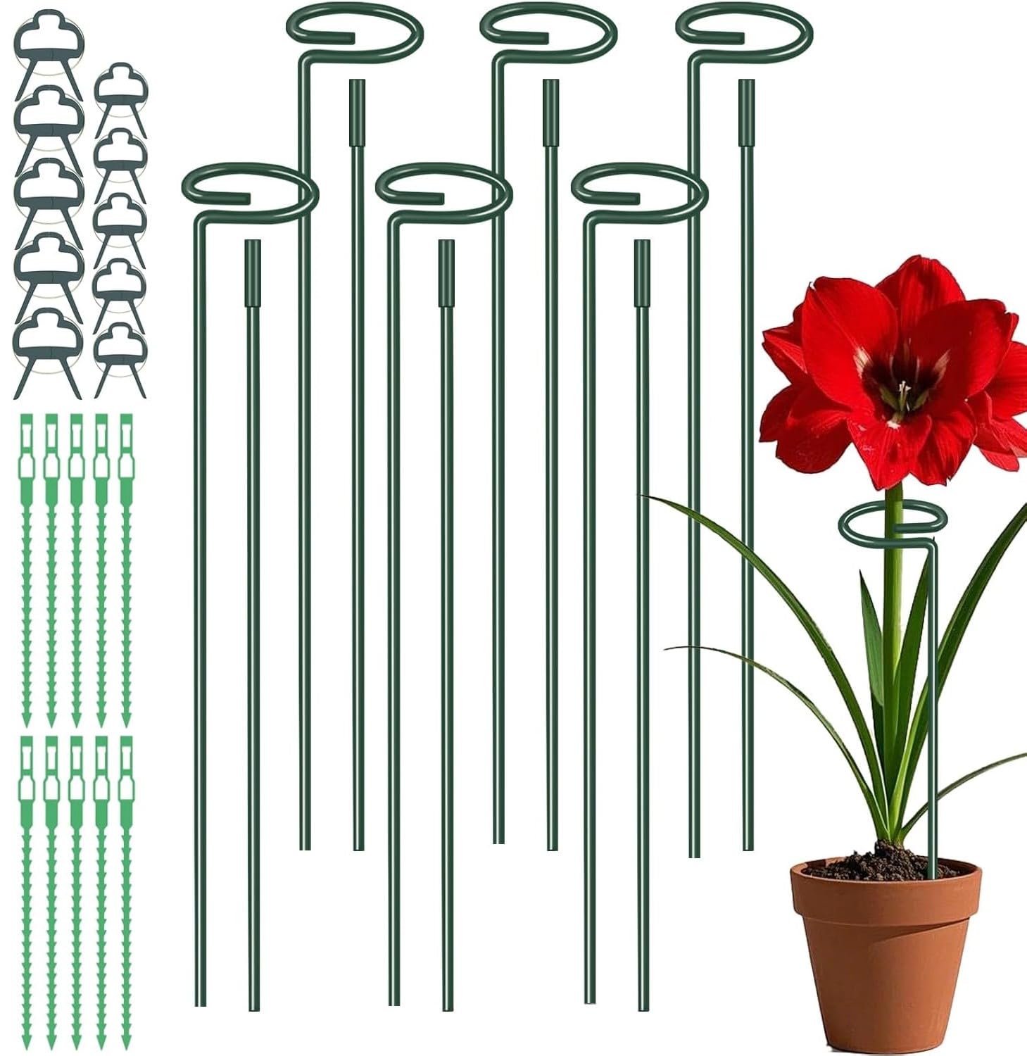 LATERN 6Pcs Plant Support Stakes, 30CM/ 60CM/ 90CM Adjustable Single Stem Support Stake 6CM Diameter Metal Plant Cage Support Ring with 10 Clips and Ties for Flower Amaryllis Lil Rose Peony Tomato