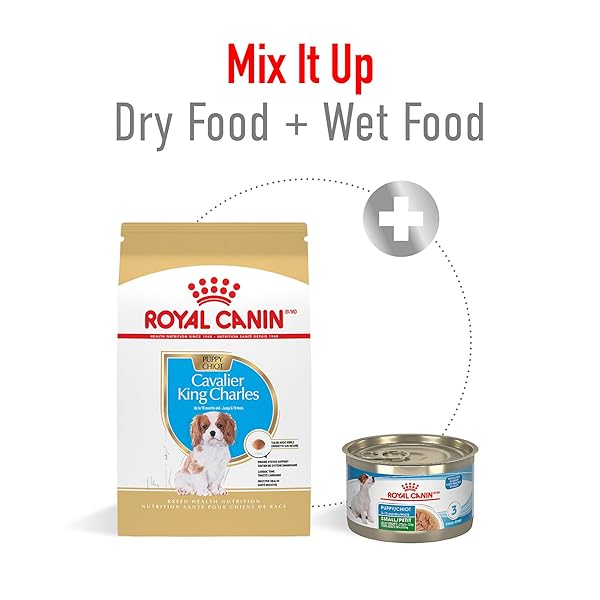 ROYAL CANIN BREED HEALTH NUTRITION CAVALIER KING CHARLES SPANIEL PUPPY DRY DOG FOOD, 3 LB BAG