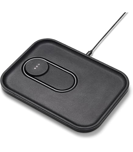 Amazon.com: Courant Catch:2 Classics - Italian Leather Dual