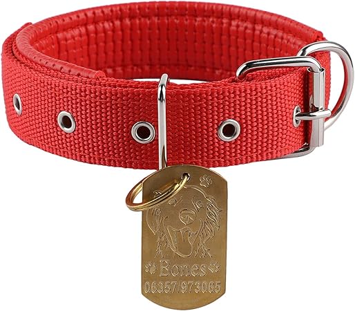 name tag for cat collar